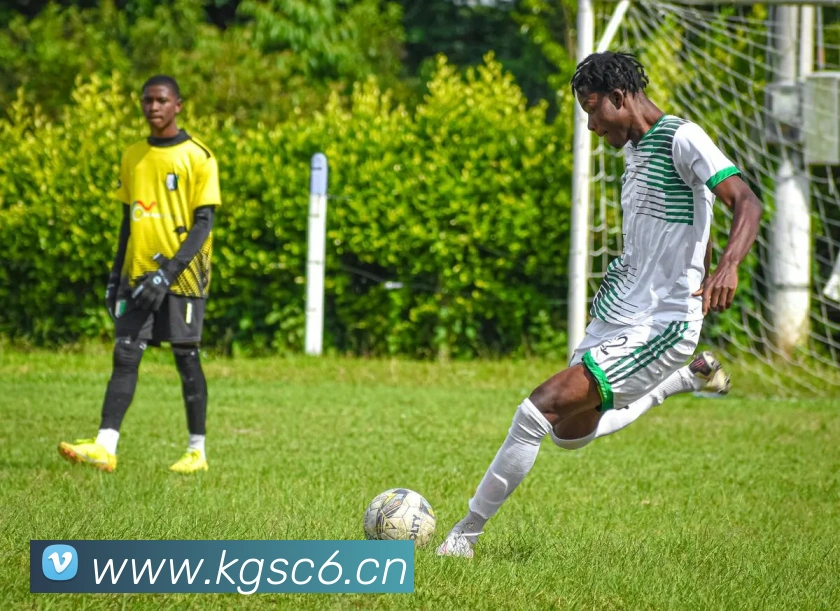 leyu乐鱼在线体育平台生态图